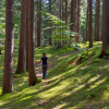 Forest-bathing-in-South-Tyrol-becoming-calm-in-nature