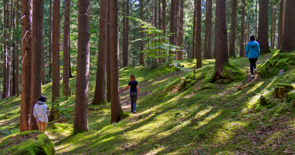 Forest-bathing-in-South-Tyrol-becoming-calm-in-nature