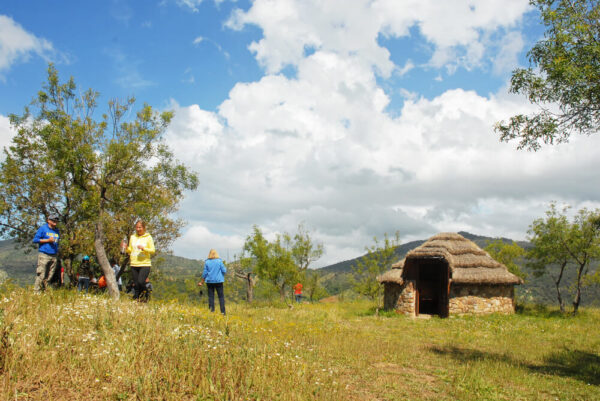 COUNTRY EXPERIENCE - immagine 7