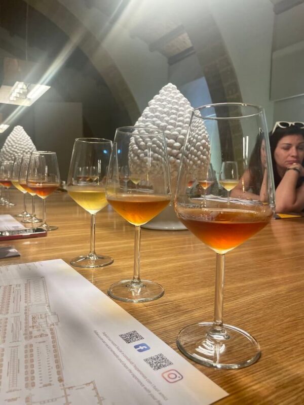WINE EXPERIENCE - immagine 4