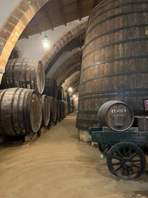 WINE EXPERIENCE - immagine 3