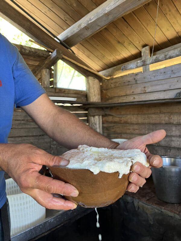 CHEESE EXPERIENCE - immagine 4