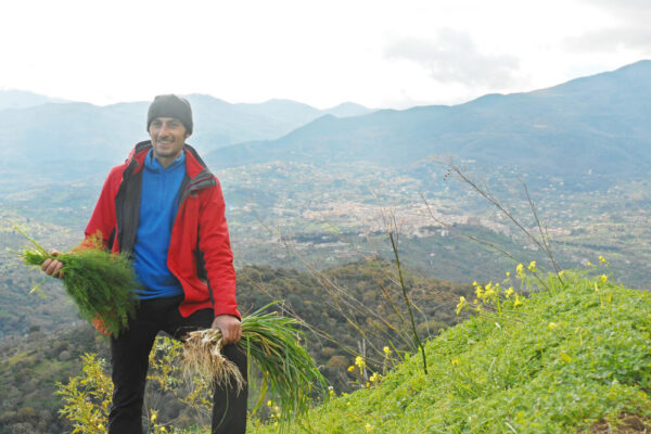 COUNTRY EXPERIENCE - immagine 3