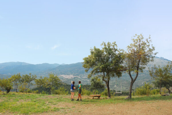 COUNTRY EXPERIENCE - immagine 6