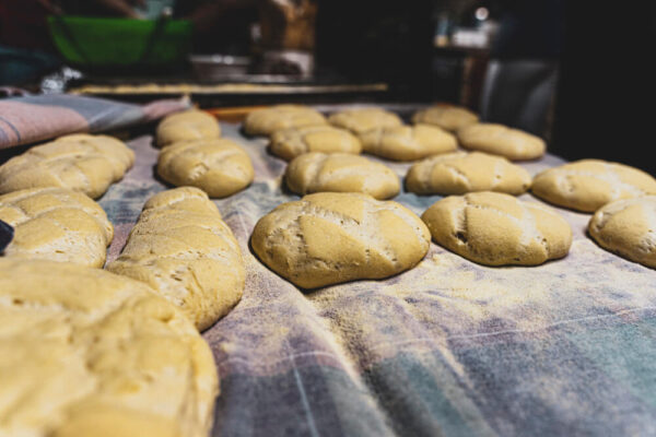 PANE E PIZZA EXPERCIENCE - immagine 2