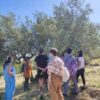 Gruppo di persone sotto un olivo in una giornata assolata.