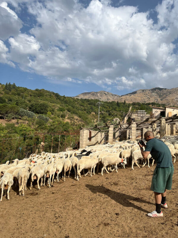 SHEPHERD EXPERIENCE - immagine 4