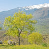 TOUR GUIDATO DI GANGI - immagine 3